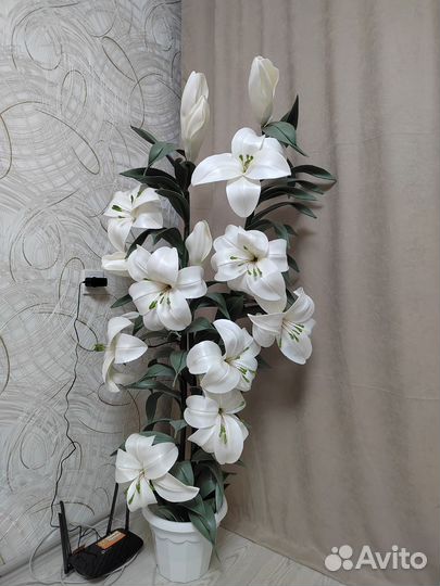 Декоративный цветы