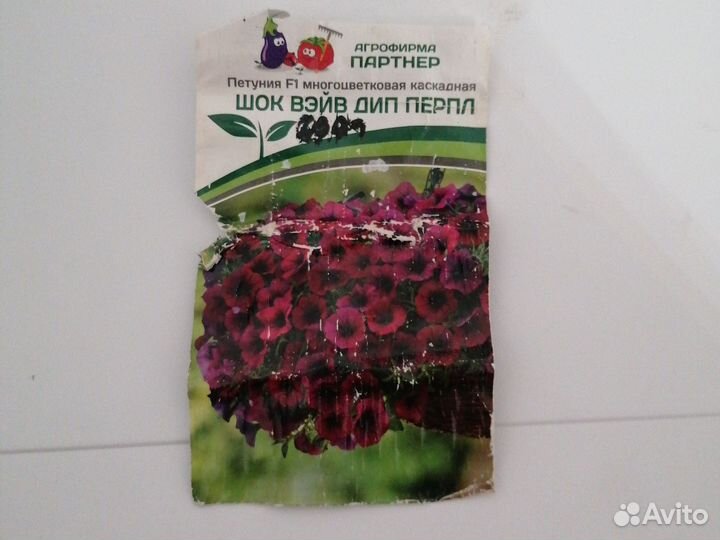 Рассада петунии