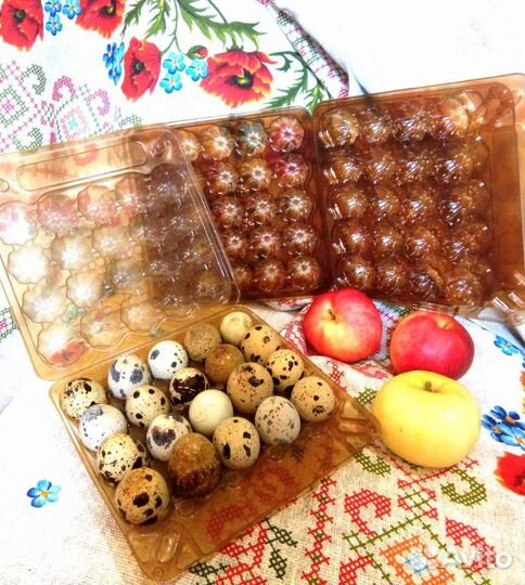 Коробочка, упаковка для перепелиных яиц