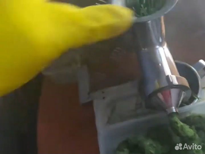 Лучшая соковыжималка для Витграсс