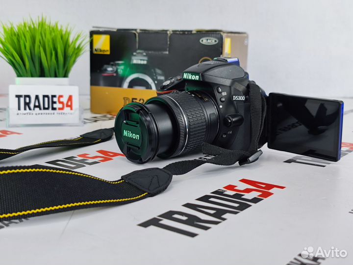 Фотоаппарат Nikon D5300 AF-P 18-55