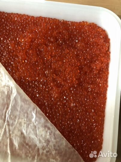 Икра красная 500гр 2023г