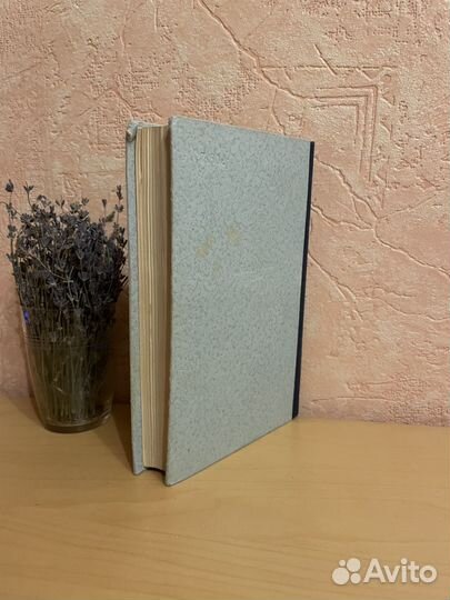 Эмиль Золя: Дамское счастье 1955г