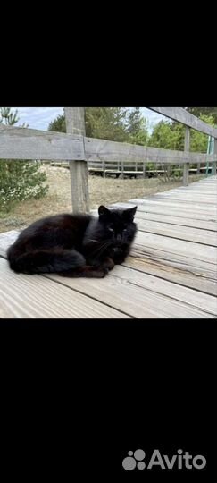 Тур в Калининград до 4-х гостей 28-30 августа