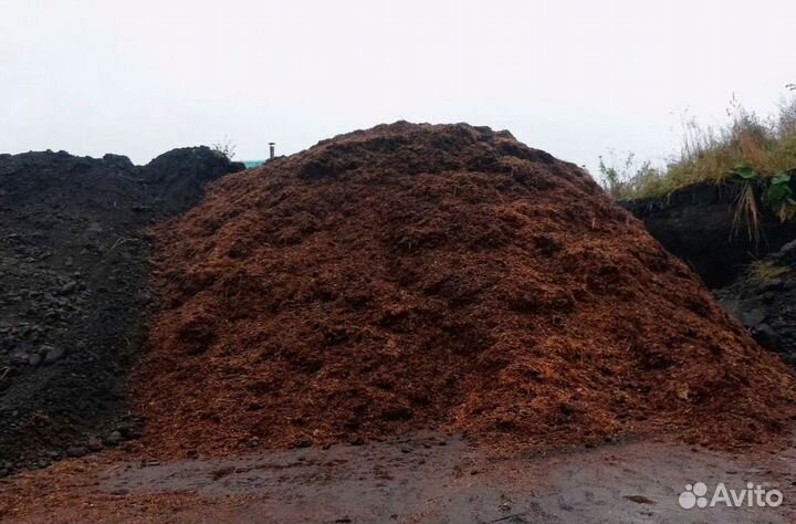 Торф в наличии