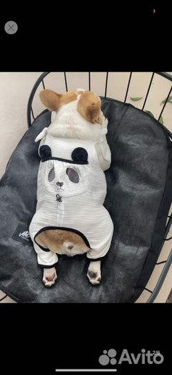 Уникальный комбенизон для собак