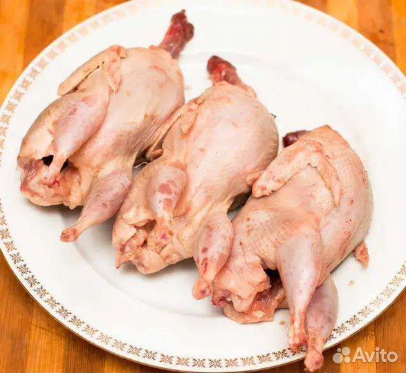 Инкубационные яйцо перепелов техас,фараон,селадон