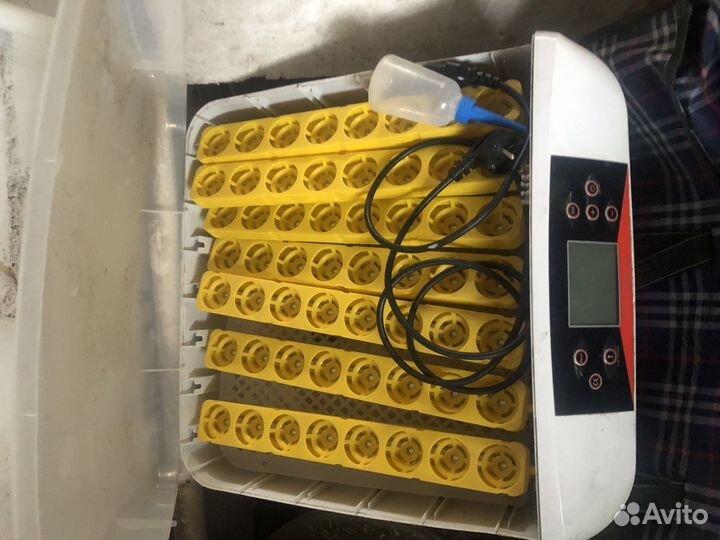 Инкубатор для яиц автоматический