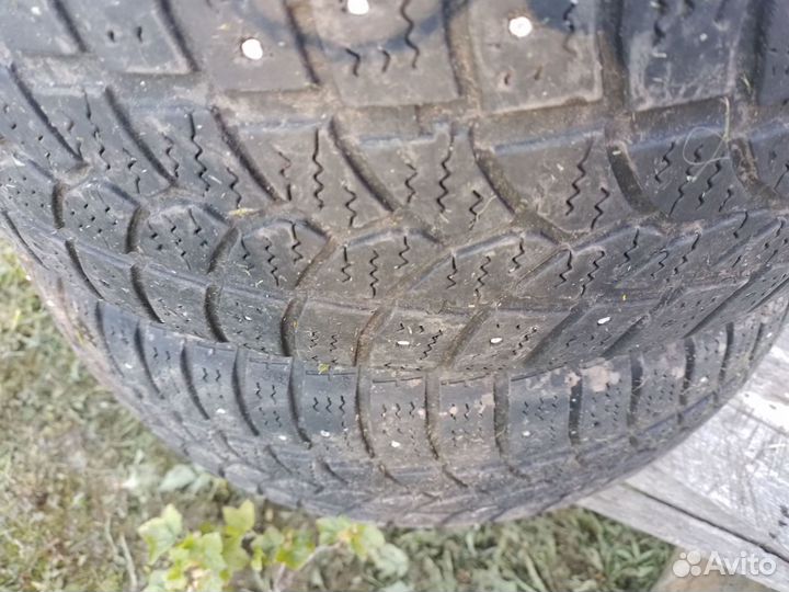 Tigar Sigura Stud 205/55 R16