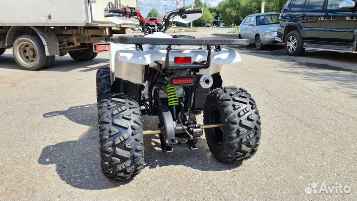 Motoland Wild Bassic125 (2023)