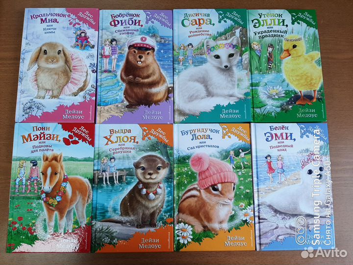 Серия книг Лес Дружбы