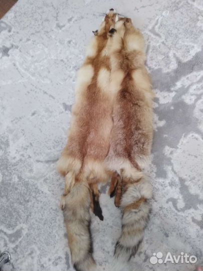 Шкуры лисы