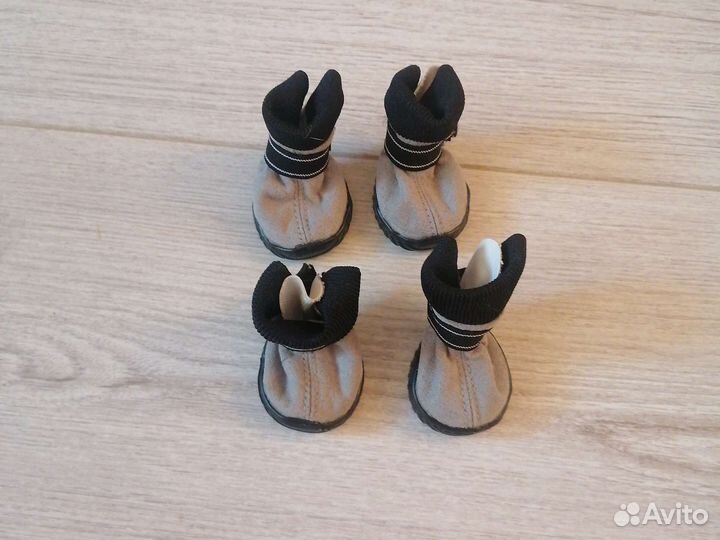 Ботинки для собак мелких пород