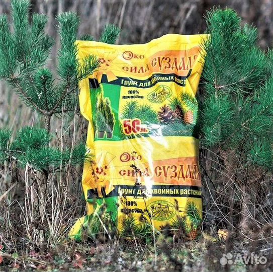 Грунт для хвойных