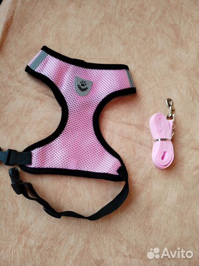Шлейка с поводком