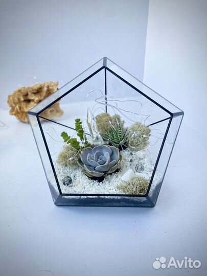 Флорариум 