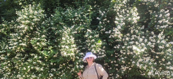 Повышение успеваемости