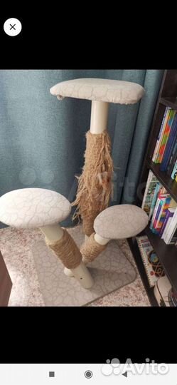 Когтеточка