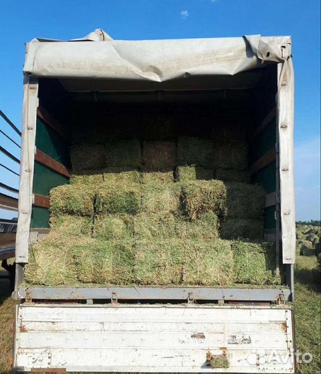 Сено Разнотравье,Эспарцет с Костром,Житняк,Люцерна