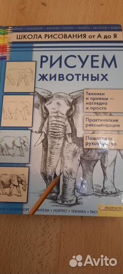 Школа рисования