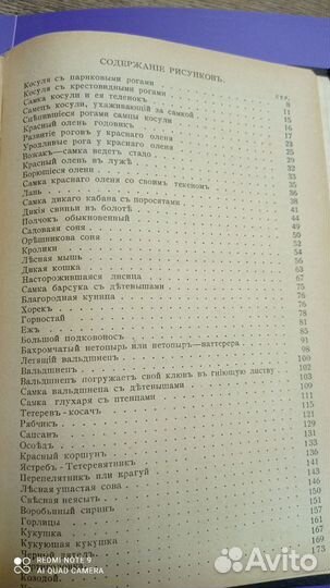 Книга: Звери, птицы и насекомые 1901г