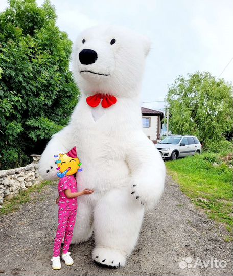 Белый мишка поздравление