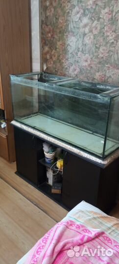 Аквариум 240 литров