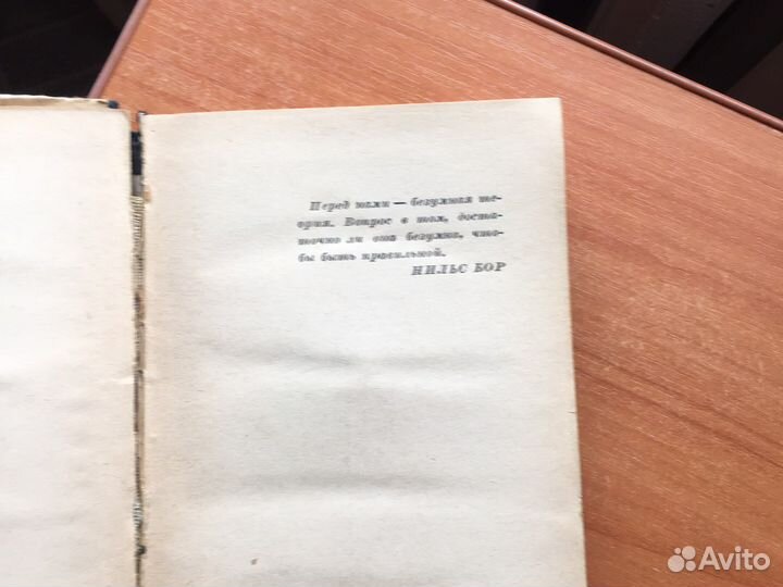 Книга Безумные Идеи Ирина Радунская