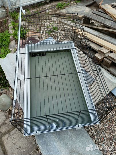 Большая клетка