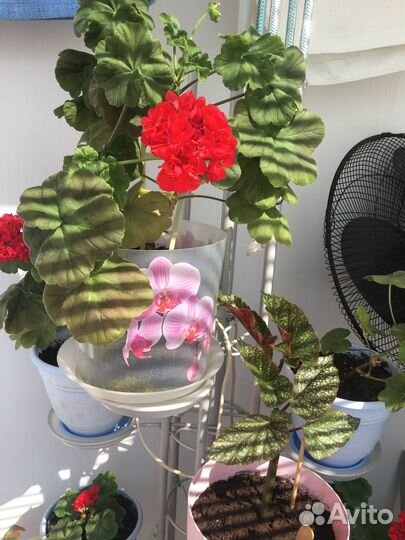 Цветочница с бра б/у