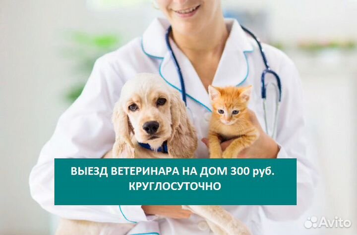 Ветеринарный врач с выездом на дом 24/7