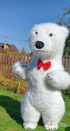 Мишка на ваш праздник. Ростовые аэрокуклы