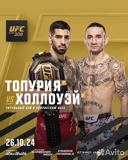 UFC 308 Билеты