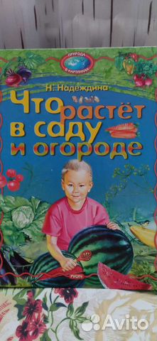 Книги для детей природа в картинках