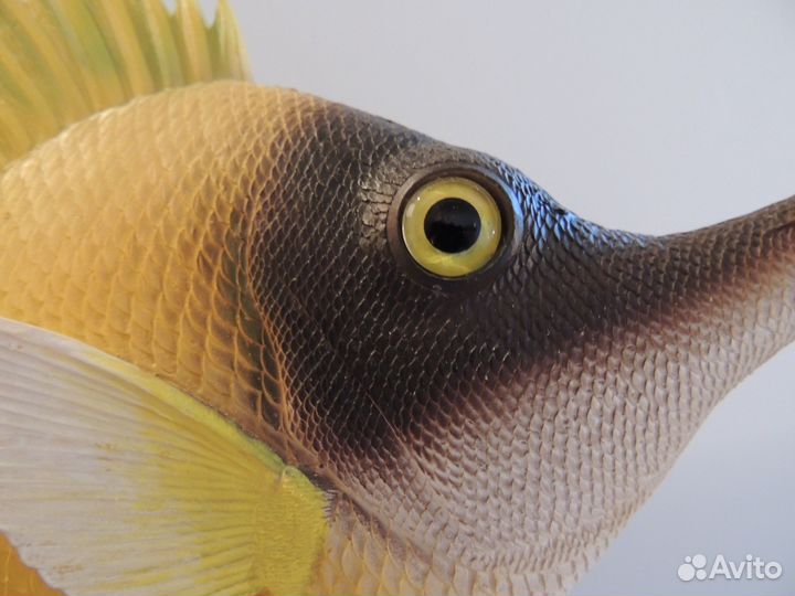 Сувенир Рыба