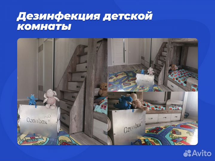 Уничтожение плесени и грибка / Дезинфекция