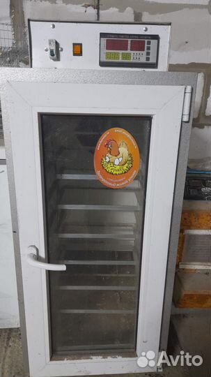 Инкубатор для яиц автоматический бу