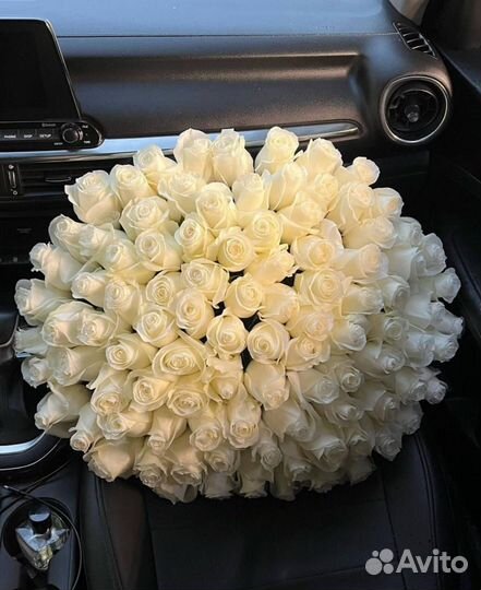 51 доставка 201 Роза 101 Роза Цветы