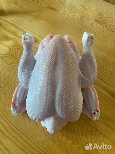 Мясо бройлера