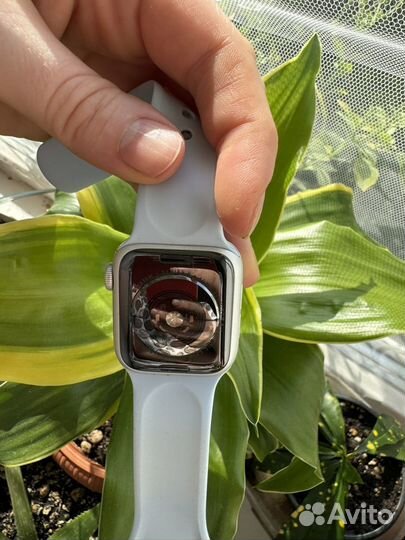 Часы apple watch 5 40 mm бу