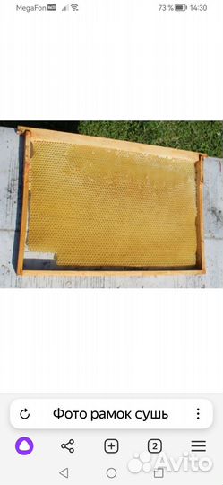 Рамки сушь