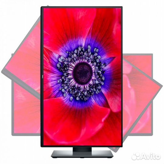 Монитор Dell U2520D 312203