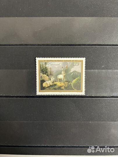 2007 г. Австрия. Фауна