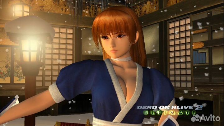 Dead OR alive 2 Ultimate Xbox