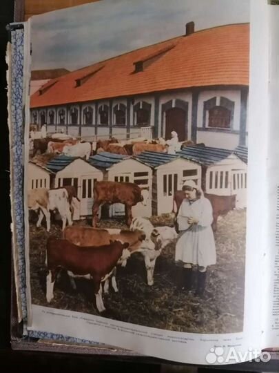 Журнал огонек СССР