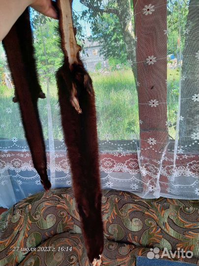 Шкурки норки