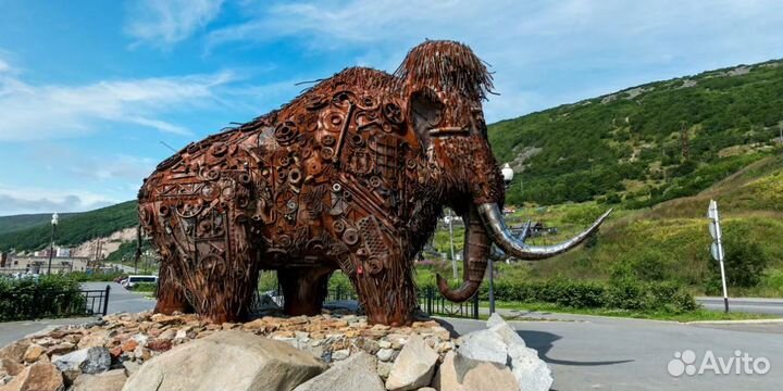 Go на Kamchatku от 7 нч