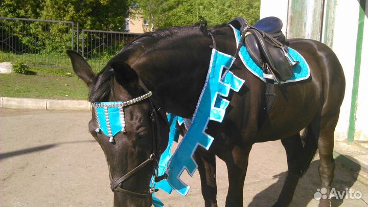 Комплект для верхового проката