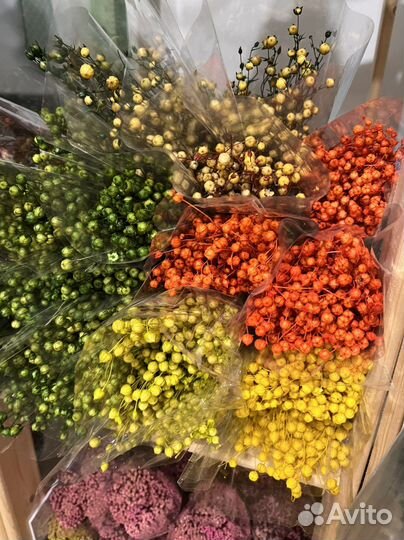 Стабилизированные растения/Сухоцветы