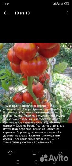 Семена овощей коллекционные